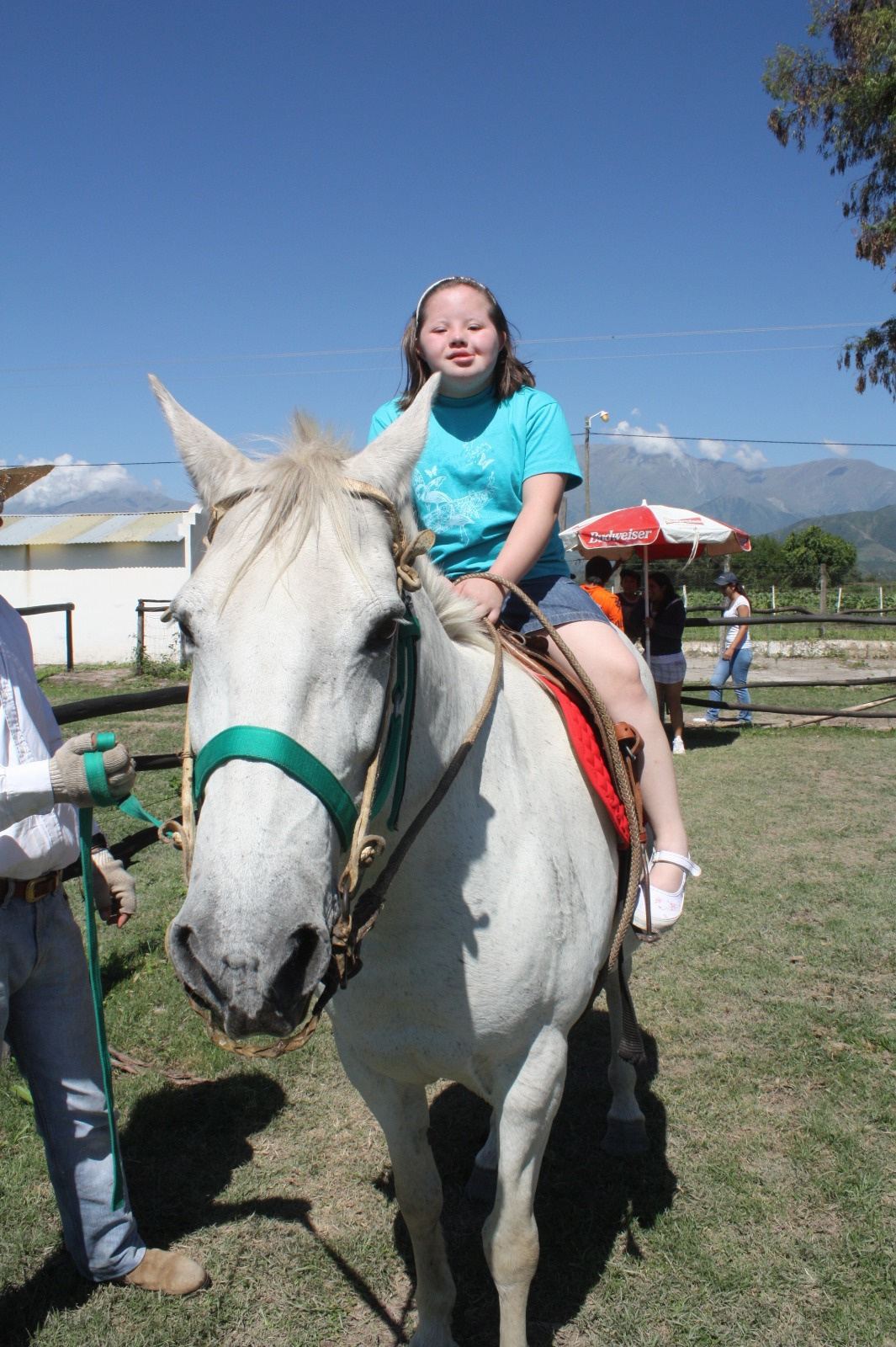 Una joven montada en un caballo blanco, con el cielo azul de fondo.