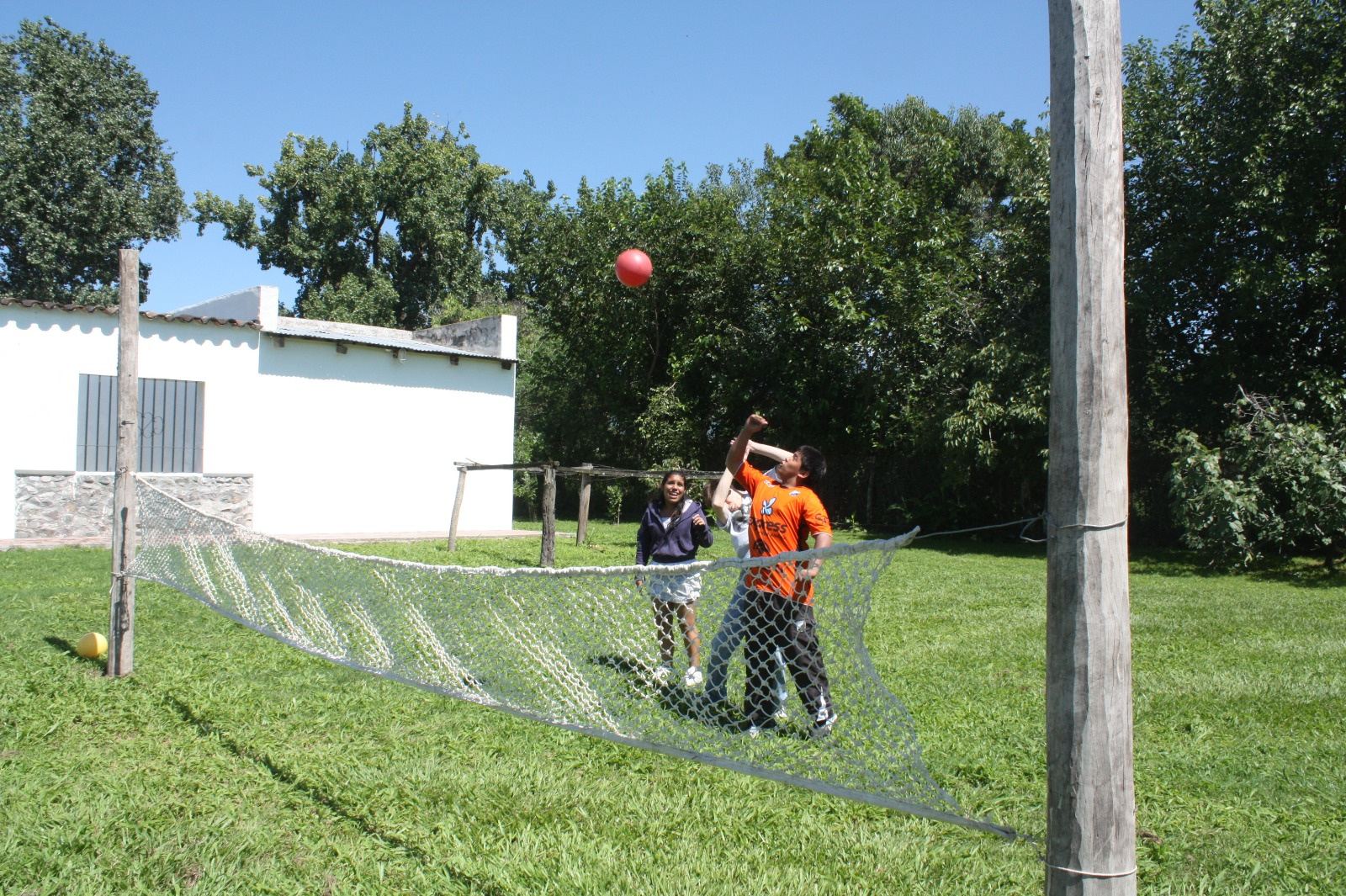 Jóvenes juegan al vóley con una red en el parque.