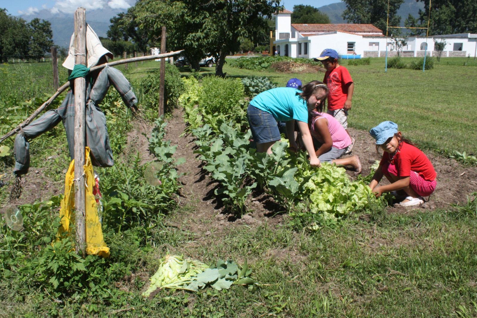 Chicos trabajan en la huerta junto a un espantapájaros.