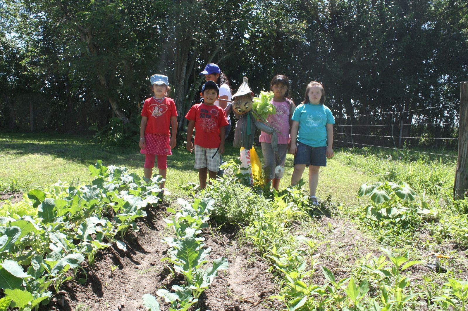 Un grupo de chicos posa al fondo de la huerta, entre las plantas.